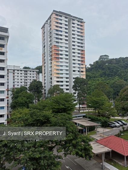 Blk 37 Telok Blangah Rise (Bukit Merah), HDB 5 Rooms #588210181